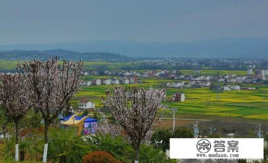 洋县是哪个省的﹖？