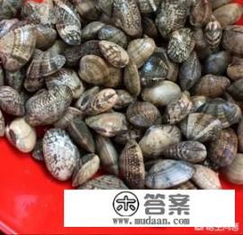 辣炒花蛤肉最正宗的做法？