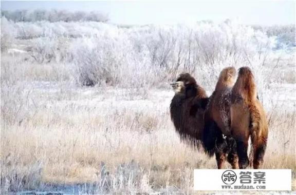 你们的信用卡额度都是多少？