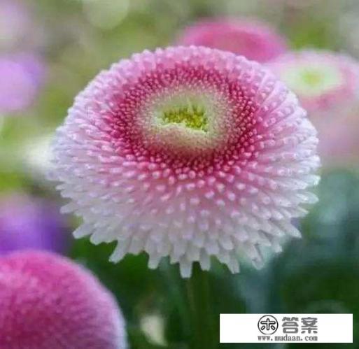 你们的信用卡额度都是多少？