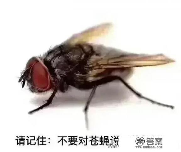 地处云南滇中的城市楚雄州未来的发展如何? 地处云南滇中的城市楚雄州未来的发展如何?