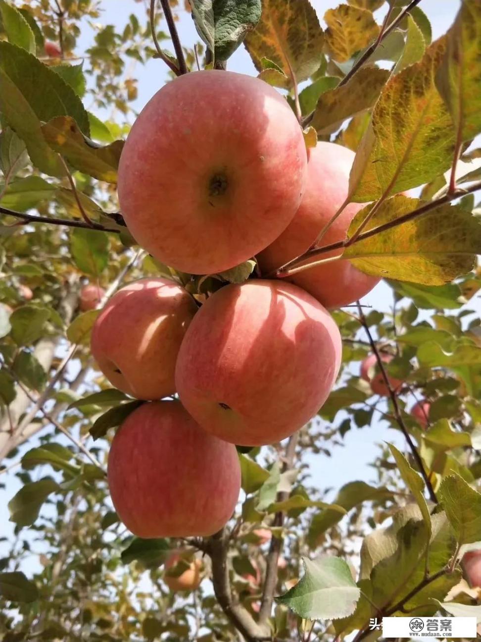 大家对于新疆阿克苏的了解有多少？