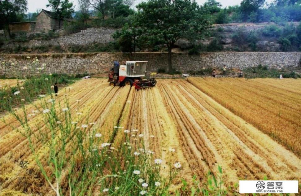 三农领域垂直视频包括哪些？如何创作优质三农视频？