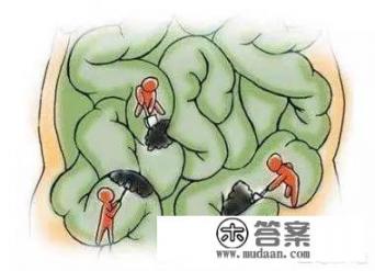 肚子咕噜咕噜响还经常放屁是什么原因？