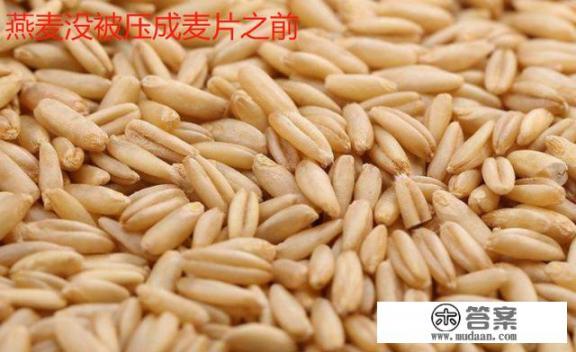 牛奶怎么加热泡燕麦？