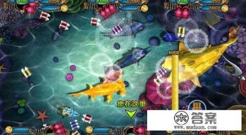 捕鱼游戏该如何减少炮弹损失捕获大鱼？