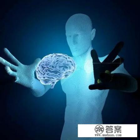 大学专业里面就业质量排行最高的有哪些? 大学专业里面就业质量排行最高的有哪些?
