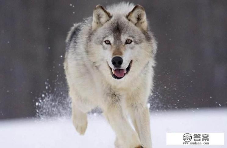 中意你小说完结了吗? 中意你小说完结了吗?