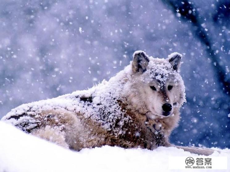 中意你小说完结了吗? 中意你小说完结了吗?