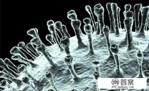 新冠病毒感染后出现鼻塞、嗅觉减退，耳鼻喉医生更易感染病毒吗？