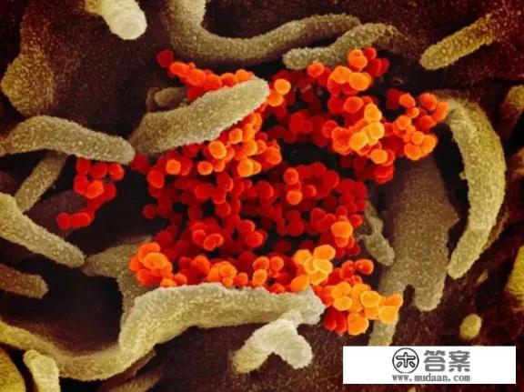 新冠病毒感染后出现鼻塞、嗅觉减退，耳鼻喉医生更易感染病毒吗？