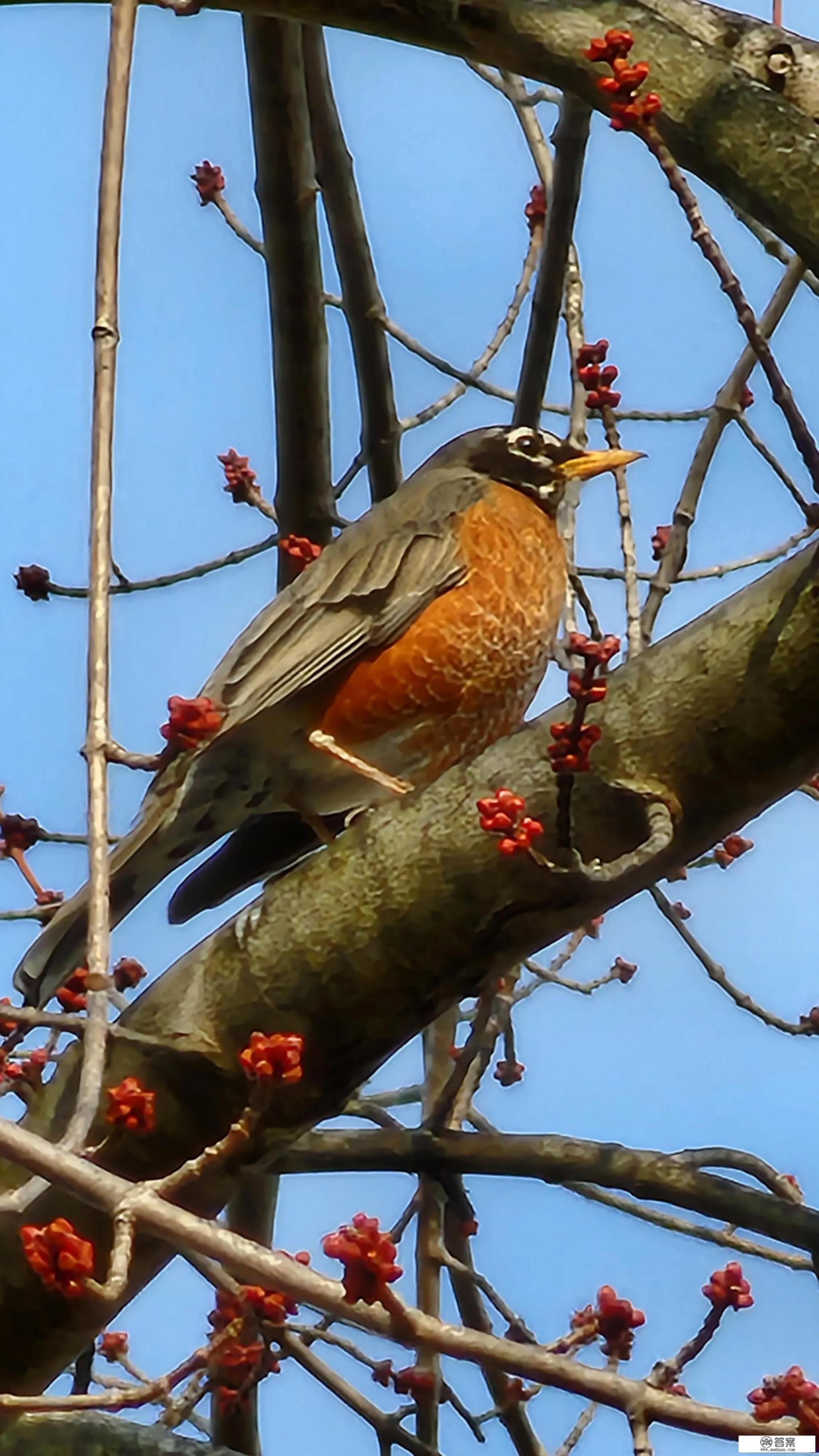 2022年拍照最好的手机是哪款？