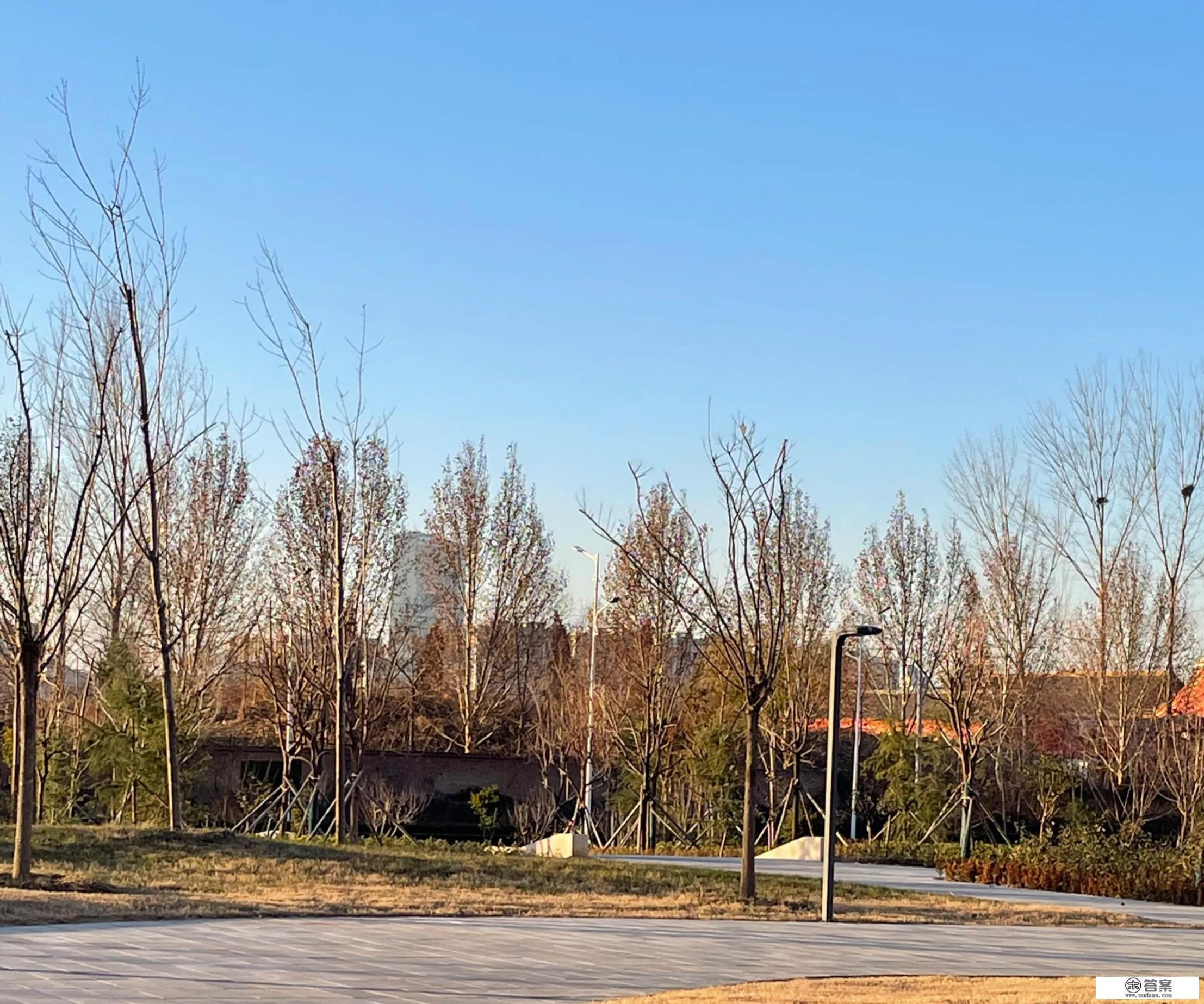 得了新冠咽痛疼几天才会不疼了呢? 得了新冠咽痛疼几天才会不疼了呢?