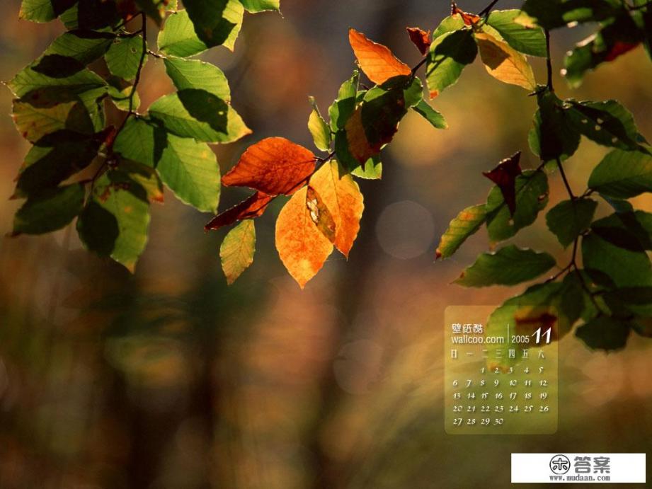 十一月、十二月有什么节日吗?