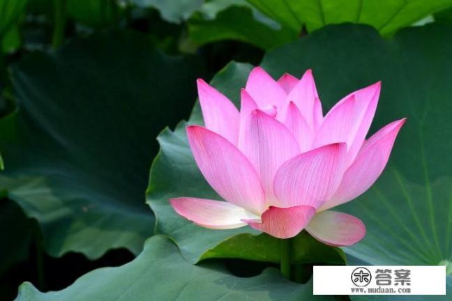 如果每次生气吵架，他都先道歉，哄她，说明了他是一个什么样的人 ?他对她怎么样？