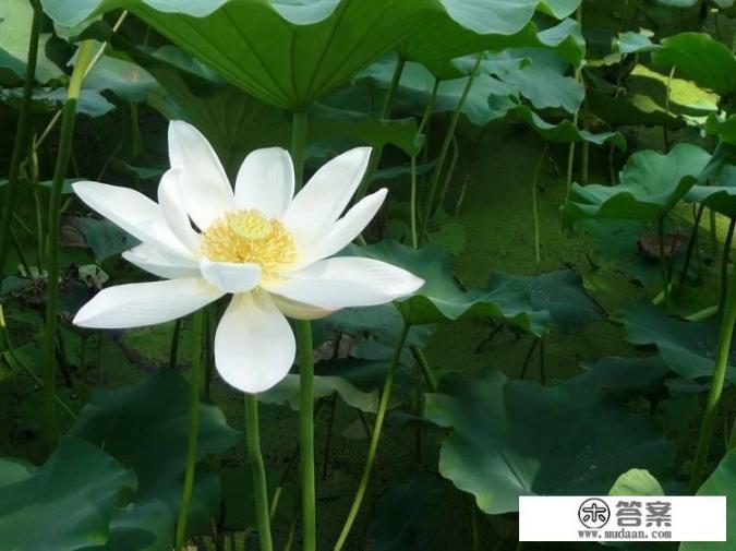 如果每次生气吵架，他都先道歉，哄她，说明了他是一个什么样的人 ?他对她怎么样？