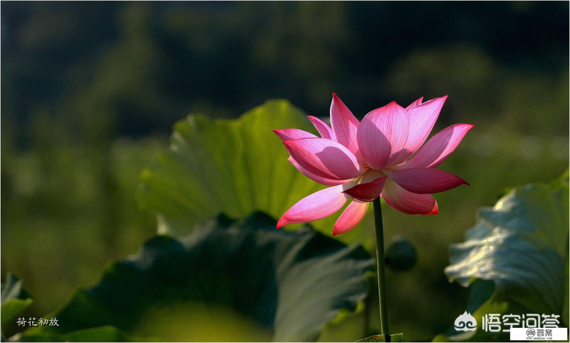 如果每次生气吵架，他都先道歉，哄她，说明了他是一个什么样的人 ?他对她怎么样？