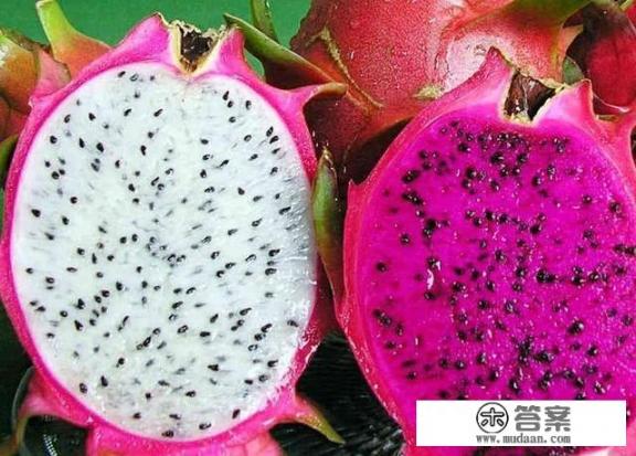 白心火龙果和红心火龙果有啥区别，哪个更营养？