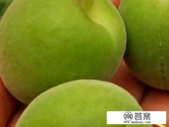 水果可以替代蔬菜吗？