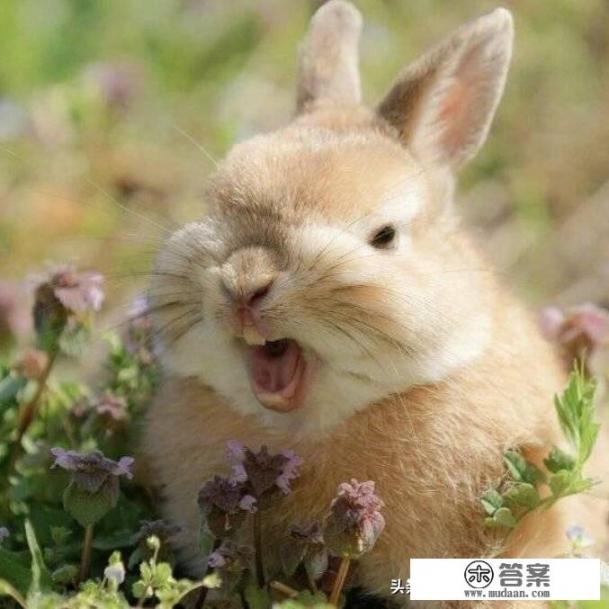 大学生都做些什么兼职比较赚钱呢？