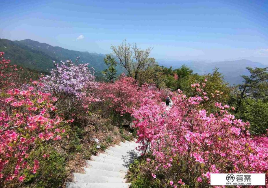 英山县原来属于安徽六安，后来为何划入湖北黄冈？