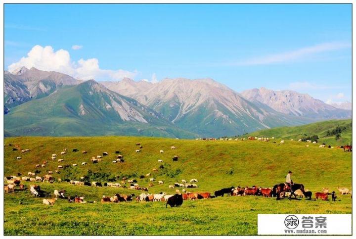 新疆的尼勒克县在哪,哪里有什么好玩地方? 新疆的尼勒克县在哪,哪里有什么好玩地方?