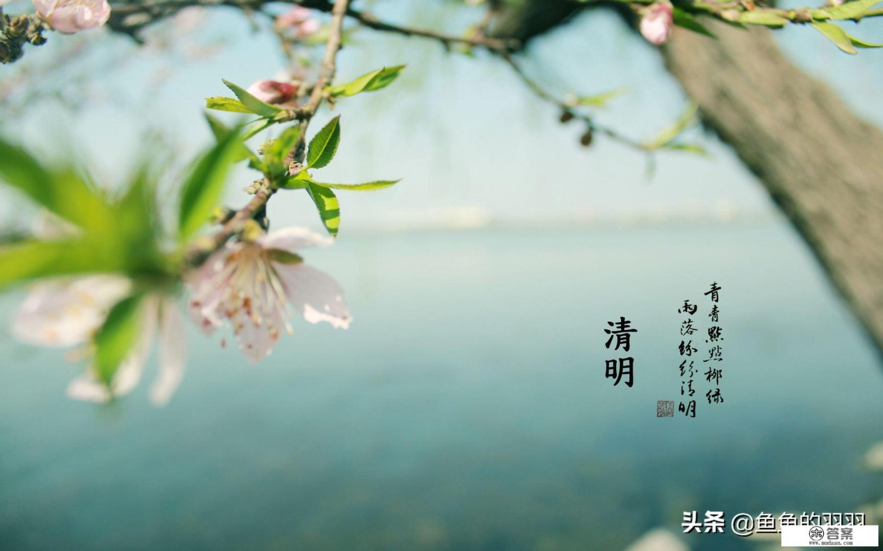 清明节手抄报内容要写什么？