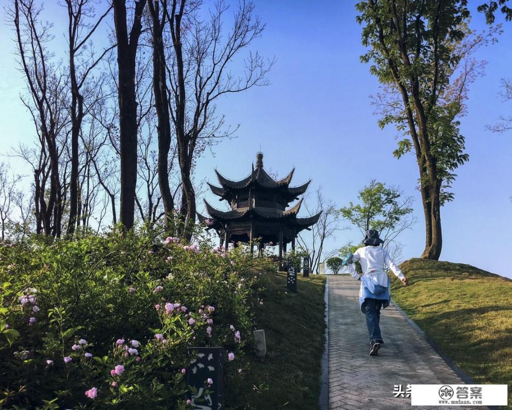 不想上班，怎么办，极度厌倦现在的工作和环境？