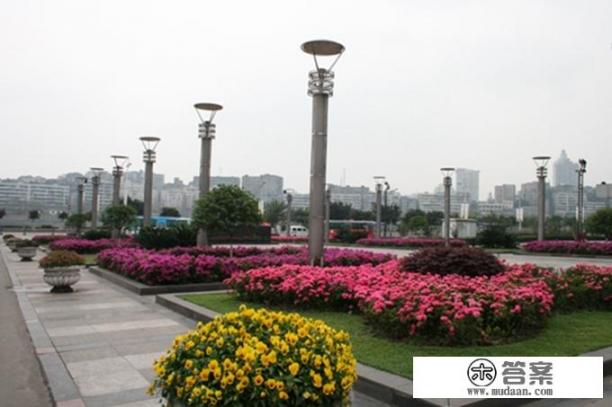 四川省内江市有哪几所大学？