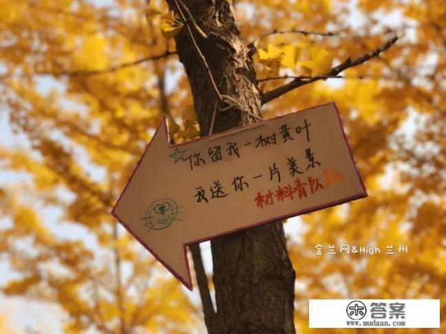 兰州理工大学学风怎样？