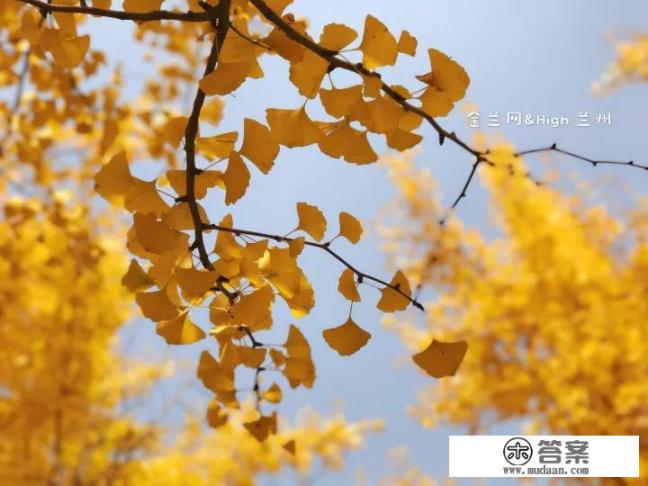 兰州理工大学学风怎样？