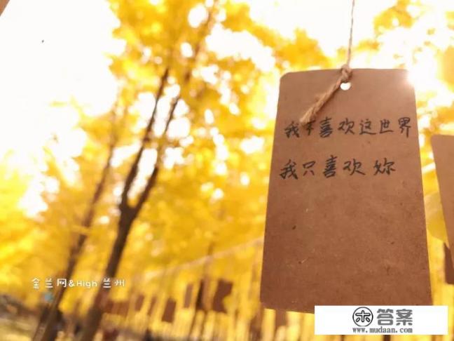 兰州理工大学学风怎样？