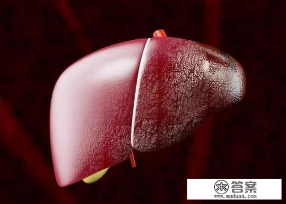 肝脏“变硬”，身体有6种迹象，该如何养护肝脏健康？