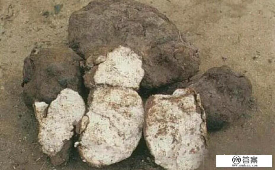 茯苓的产地在哪，有什么疗效？