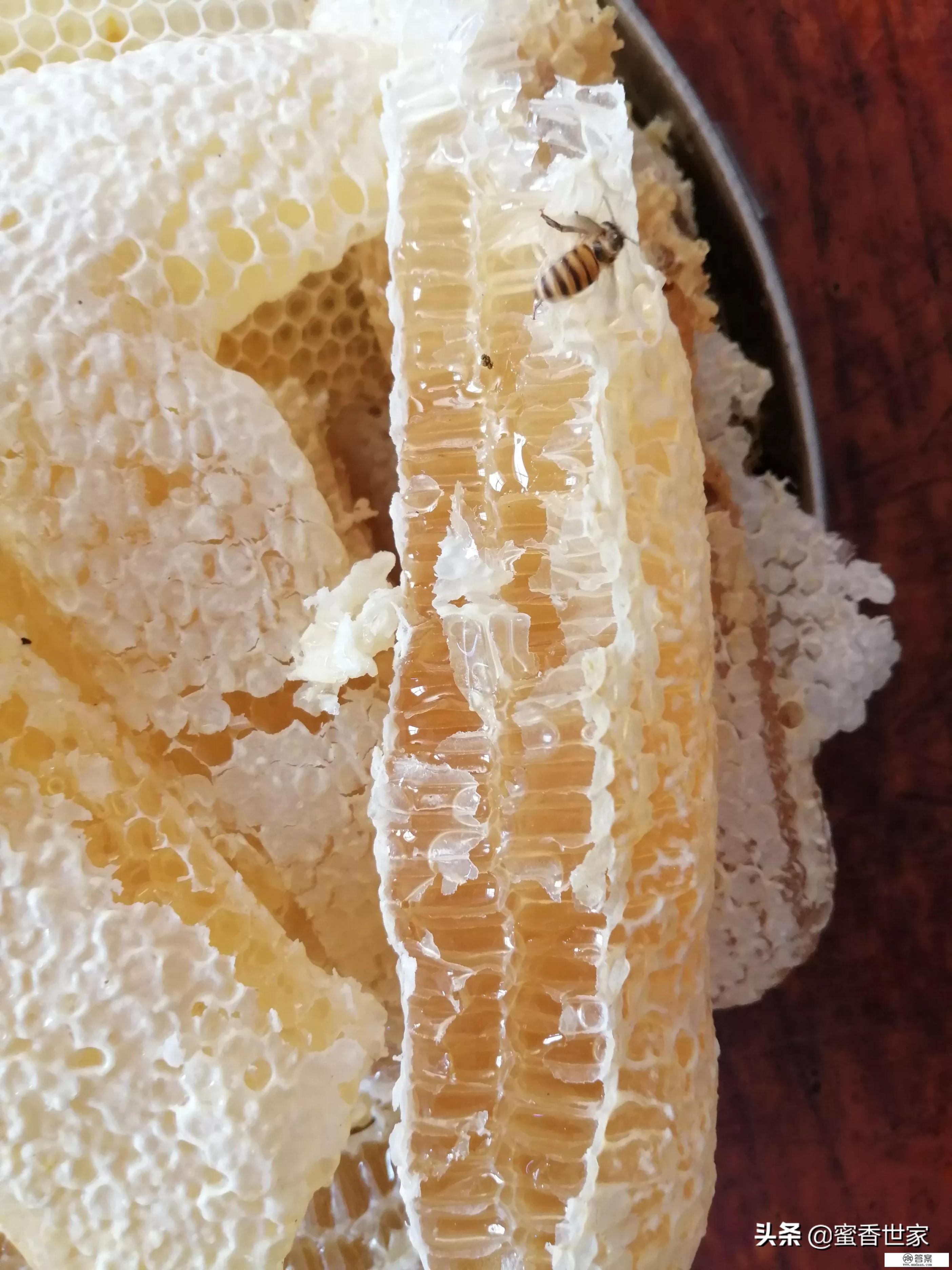 蜂巢蜜与蜂蜜有什么不同?