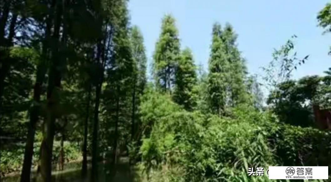 尚义旅游详细攻略? 尚义旅游详细攻略?