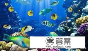 生活在水中的鱼会口渴嘛？