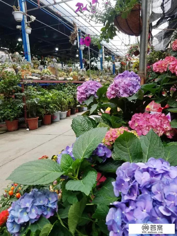 三个词总结一下你的大学生活？