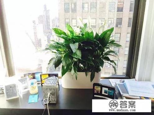 长时间吸入臭氧该如何防护？