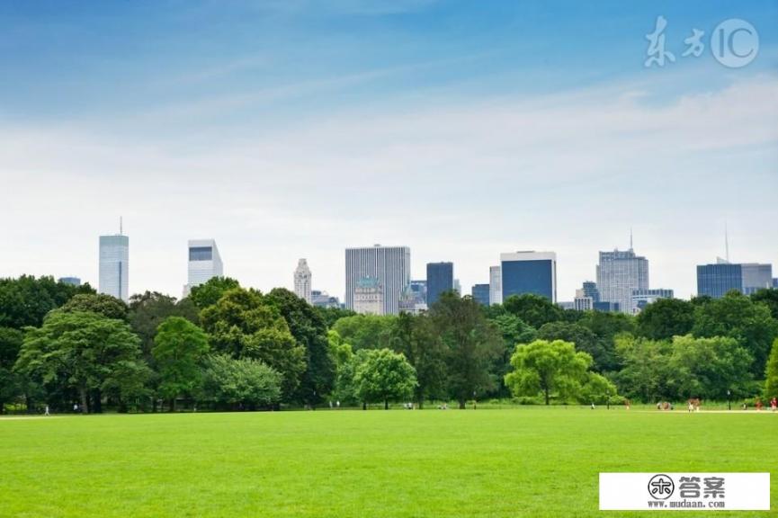 长时间吸入臭氧该如何防护？