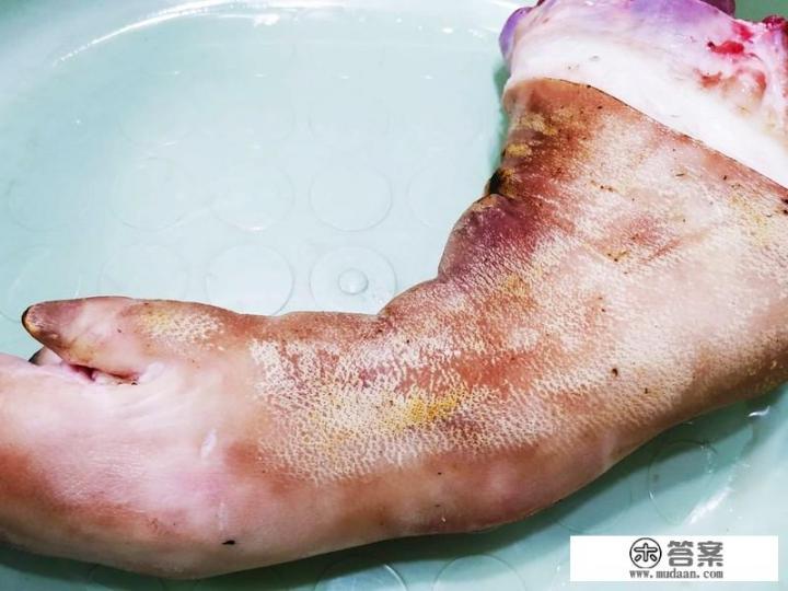 猪蹄炖黄豆做法王刚？