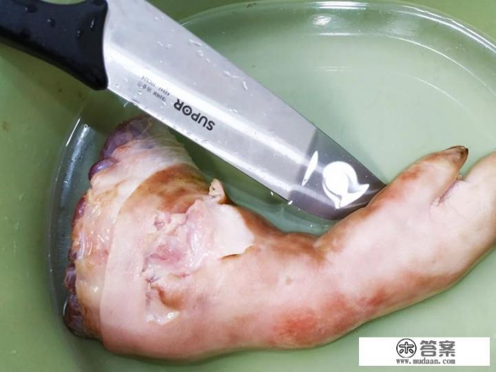 猪蹄炖黄豆做法王刚？