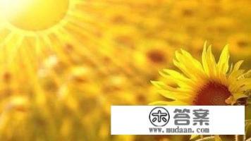 现在大一的我很颓，不认真上网课，不认真读书，对生活失去了信心，有什么方法可以让我对生活充满热情？