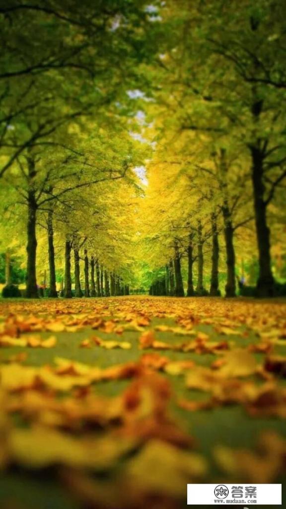 现在大一的我很颓，不认真上网课，不认真读书，对生活失去了信心，有什么方法可以让我对生活充满热情？