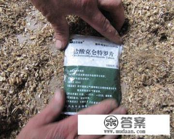 什么是瘦肉精？猪饲料中加入瘦肉精对人的危害有哪些？