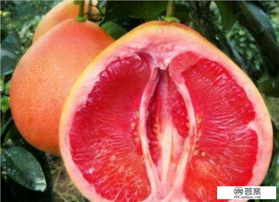 柚子施什么肥最甜？