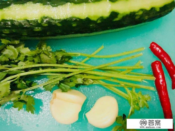 凉拌拍黄瓜的做法有哪些？