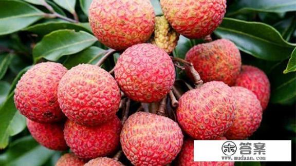 广州特产购物必买清单？