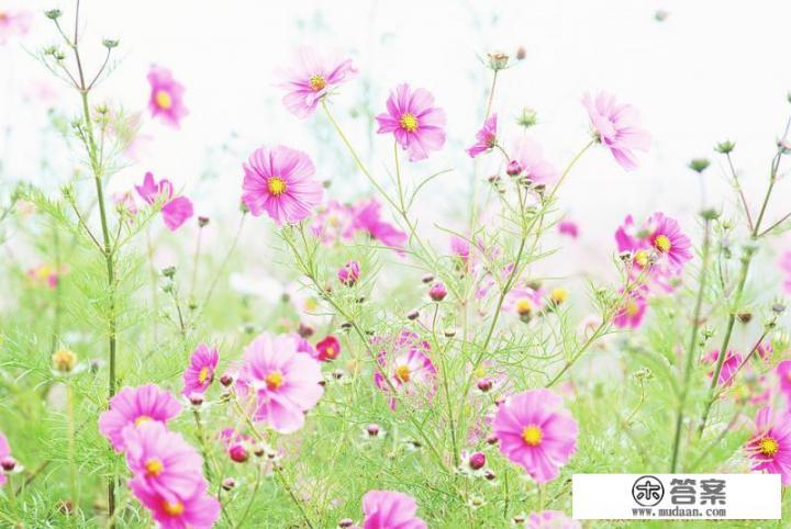 一个成年男人如果没车没房没钱，是不是可以选择去女方家上门？