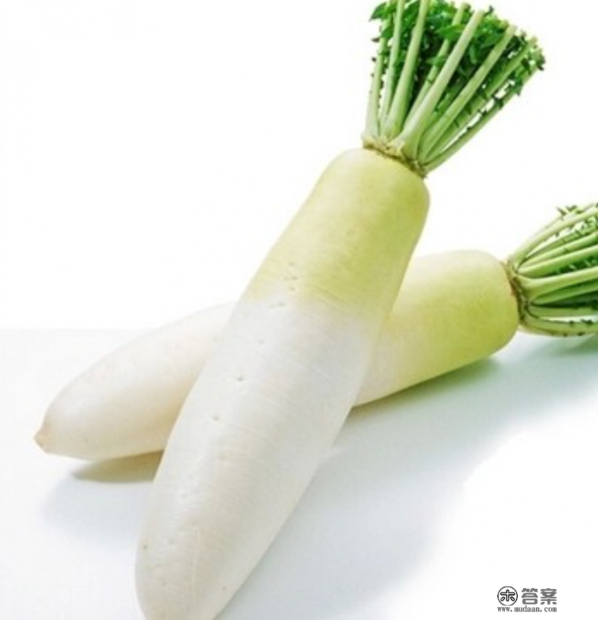 广东牛杂萝卜摆摊做法？